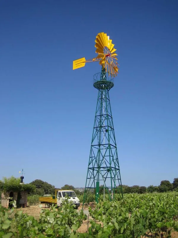 PE Windwasserpumpe W 5015 zur Bewässerung im Weinbau