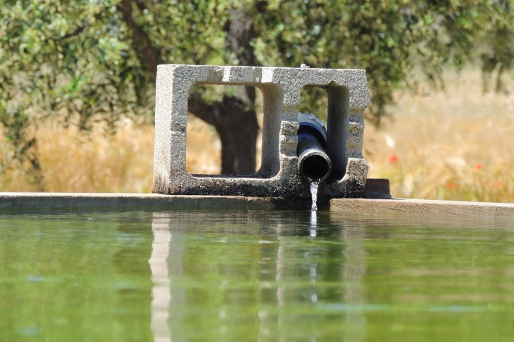 Mit Wasser gefülltes Becken