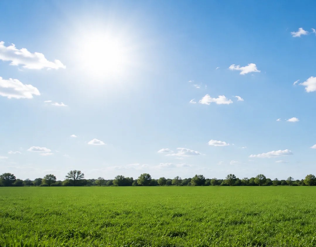 Weite grüne Wiese unter blauem Himmel